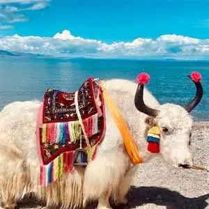 Lhasa and Namtso Lake Tour Lhasa and Namtso Lake Tour